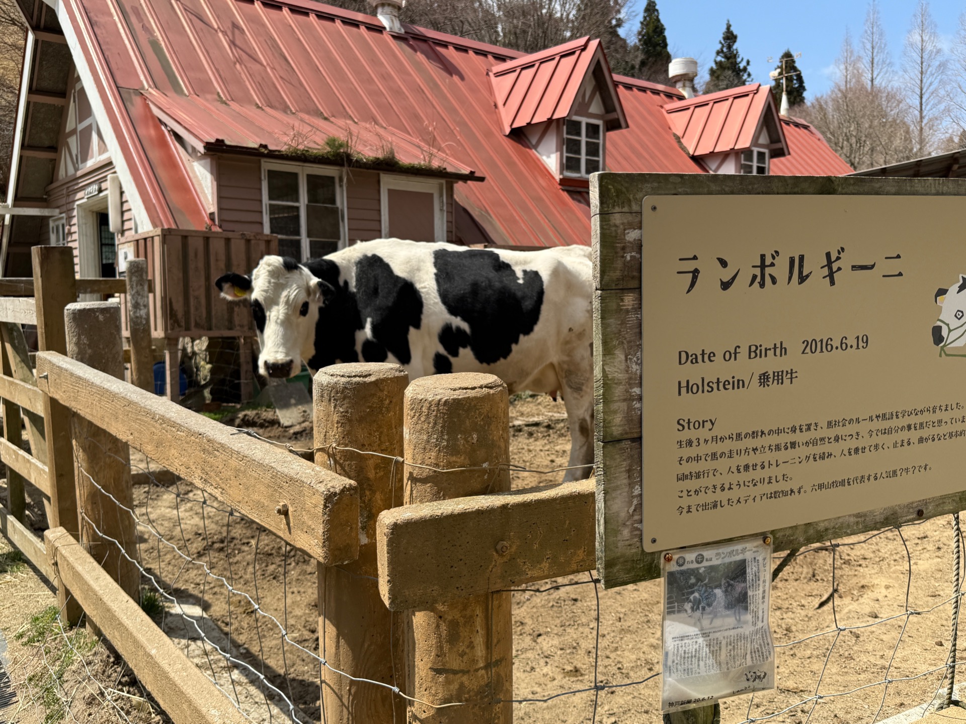牧場の人気者「ランボルギーニ」は北イベント広場すぐ